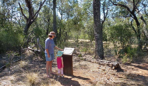Deriah Aboriginal Information Bay - Lismore Accommodation 1