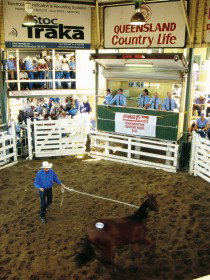 Gracemere QLD Lismore Accommodation