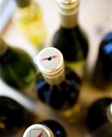 Charles Sturt University Winery Wagga Wagga - Lismore Accommodation 2