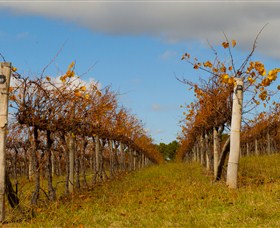 Charles Sturt University Winery Wagga Wagga - Lismore Accommodation 3