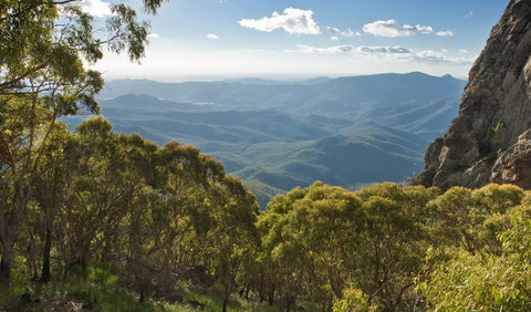 Kaputar Scenic Drive - Lismore Accommodation 1