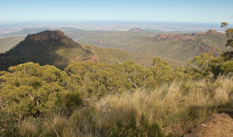 Kaputar NSW Lismore Accommodation