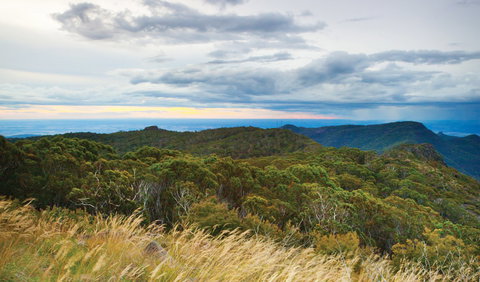 Doug Sky Lookout - Lismore Accommodation 2