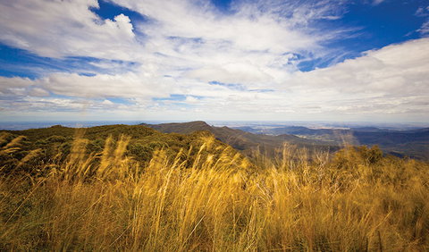 Mount Kaputar Summit Walk - Lismore Accommodation 1