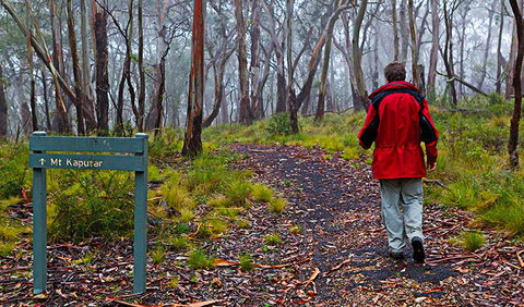 Mount Kaputar Summit Walk - Lismore Accommodation 2