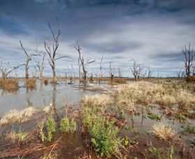 Winton Wetlands Reserve - Lismore Accommodation 4