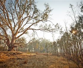 Winton Wetlands Reserve - Lismore Accommodation 2