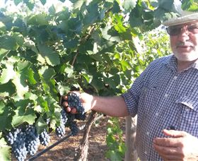 Rosnay Organic Farm And Vineyard - Lismore Accommodation 6