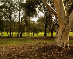 Benalla Golf Club - Lismore Accommodation 2