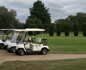 Benalla Golf Club - Lismore Accommodation 3