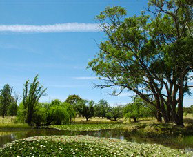 Burrumbuttock ACT Lismore Accommodation
