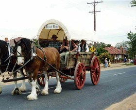 The Trek Wagon Walla Walla - Lismore Accommodation 1