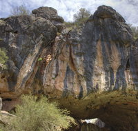 Borenore Karst Conservation Reserve - Lismore Accommodation