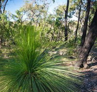 Brisbane Ranges National Park - Lismore Accommodation