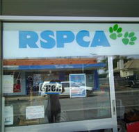 R.S.P.C.A Opportunity Shop - Lismore Accommodation