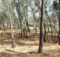 Chiltern-Mt Pilot National Park - Lismore Accommodation
