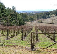 Habitat Vineyard - Lismore Accommodation