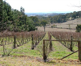 Habitat Vineyard - Lismore Accommodation 0