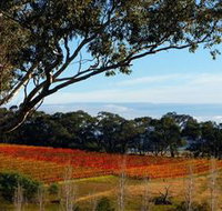 Bloodwood Estate - Lismore Accommodation