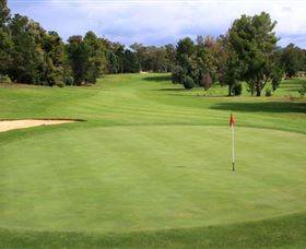 Commercial Golf Course - Lismore Accommodation 1