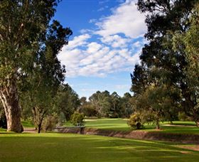 Commercial Golf Course - Lismore Accommodation 0