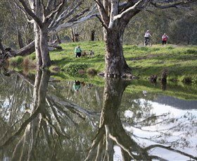 Wagirra Trail And Yindyamarra Sculpture Walk - Lismore Accommodation 1