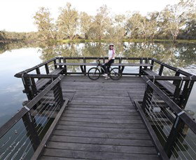 Wagirra Trail And Yindyamarra Sculpture Walk - Lismore Accommodation 6