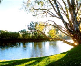 Albury - Murray River Precinct - Lismore Accommodation 0