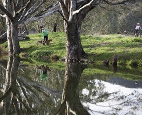 Albury - Murray River Precinct - Lismore Accommodation 3