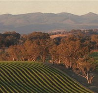 Angullong Wines - Lismore Accommodation