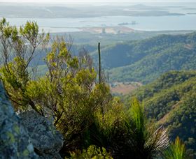 Mount Larcom Climb - Lismore Accommodation 1