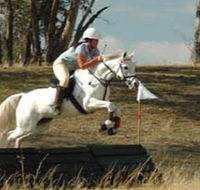National Equestrian Centre - Kerrabee - Lismore Accommodation