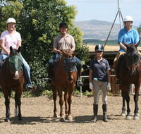 Forest Park Riding and Equitation School - Lismore Accommodation