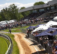 Thoroughbred Park Canberra Racing Club - Horse Racing in the Nations Capital - Lismore Accommodation