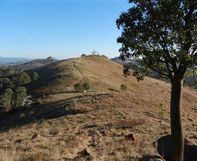 Urambi Hills - Lismore Accommodation 1
