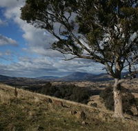 Urambi Hills - Lismore Accommodation