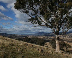 Urambi Hills - Lismore Accommodation 0
