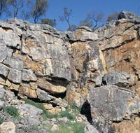 Watheroo National Park - Lismore Accommodation