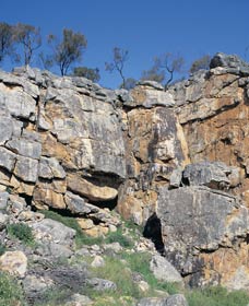 Watheroo National Park - Lismore Accommodation 0