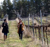 Mount Majura Vineyard - Lismore Accommodation
