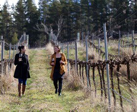 Mount Majura Vineyard - Lismore Accommodation 0