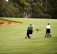 Federal Golf Club - Lismore Accommodation