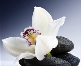 H2O Spa - Lismore Accommodation 1