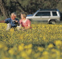 Coalseam Conservation Park - Lismore Accommodation
