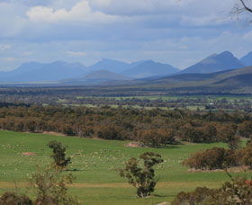 Sukey Hill Lookout - Lismore Accommodation 0