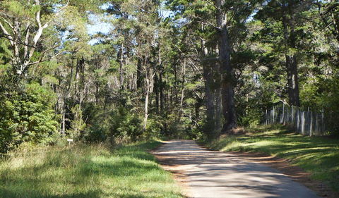 McMahon's Point Ride - Wentworth Falls - Lismore Accommodation 2