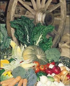 Mulgowie Real Farmers Markets - Lismore Accommodation 0