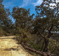 Parr State Conservation Area - Lismore Accommodation