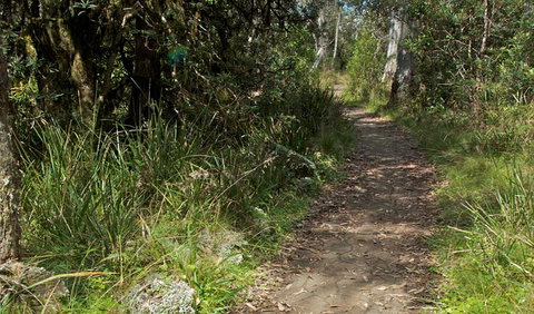 Devils Hole Lookout Walk And Picnic Area - Lismore Accommodation 2
