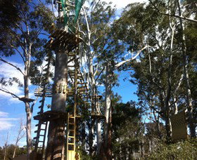 Trees Adventure Grose River Park - Lismore Accommodation 1